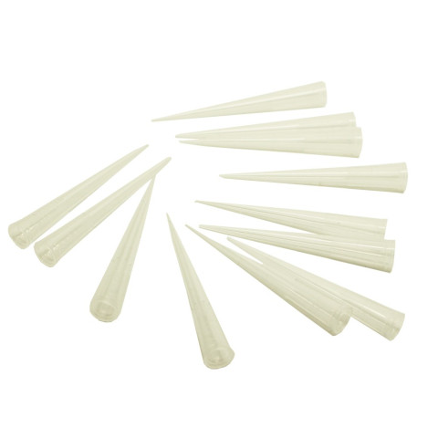 Pipettes de collage (lot de 12)