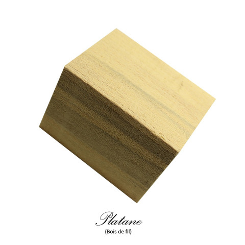 Carrelet Bouchon Platane (bois de fil)