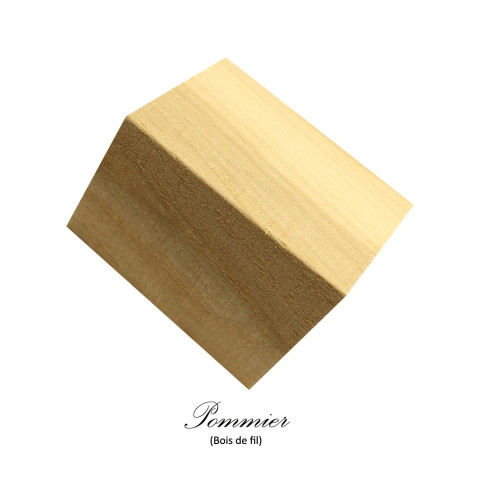 Carrelet Bouchon Pommier (bois de fil)